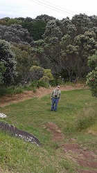 Devonport hillside