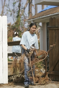 Hauling brush