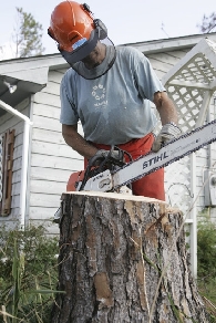 Gene checking saw