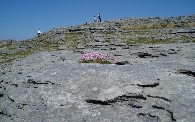 The Burren