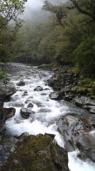 Rocky stream