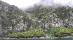 Greenery and waterfall