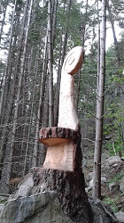 Carved tree