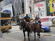 Mounted patrol