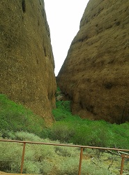 Kata Tjuta rock