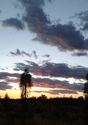 Sunrise at Uluru