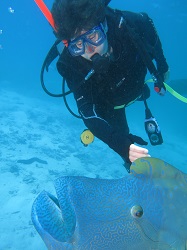 Great Barrier Reef