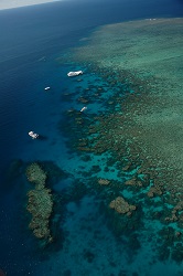 Boats on reef